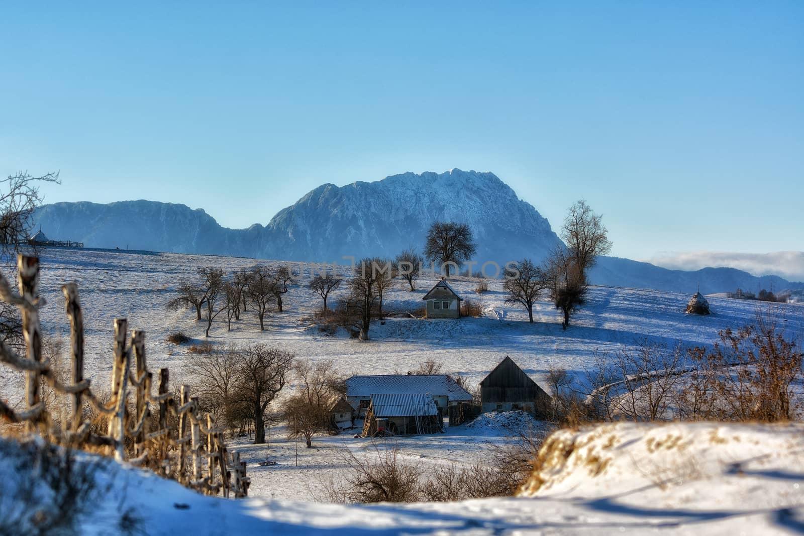 Frozen sunny day of a winter, on wild transylvania hills. Holbav. Romania. Low key, dark background, spot lighting, and rich Old Masters