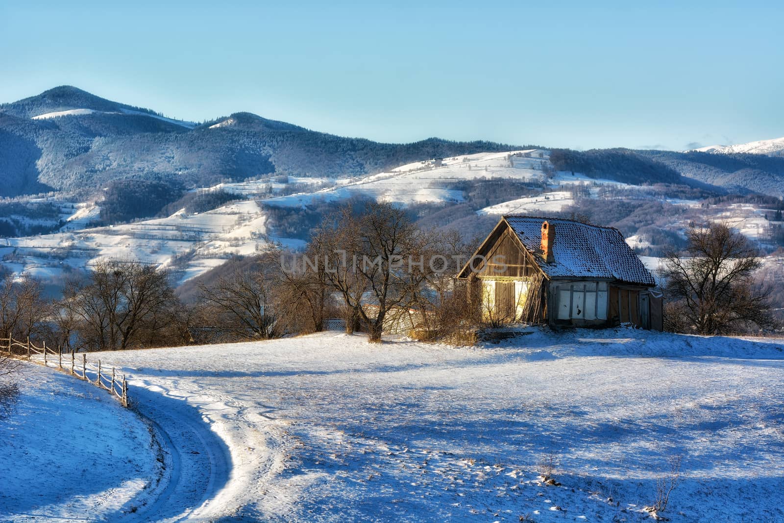 Frozen sunny day of a winter, on wild transylvania hills. Holbav. Romania. Low key, dark background, spot lighting, and rich Old Masters by constantinhurghea