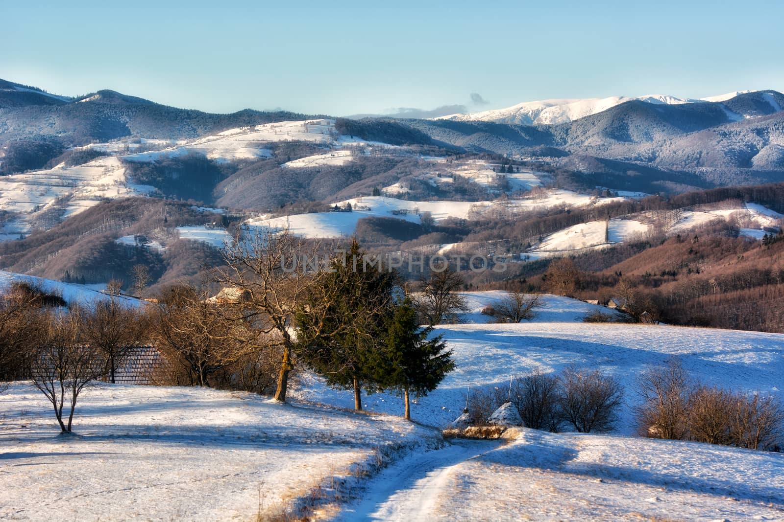 Frozen sunny day of a winter, on wild transylvania hills. Holbav. Romania. Low key, dark background, spot lighting, and rich Old Masters by constantinhurghea