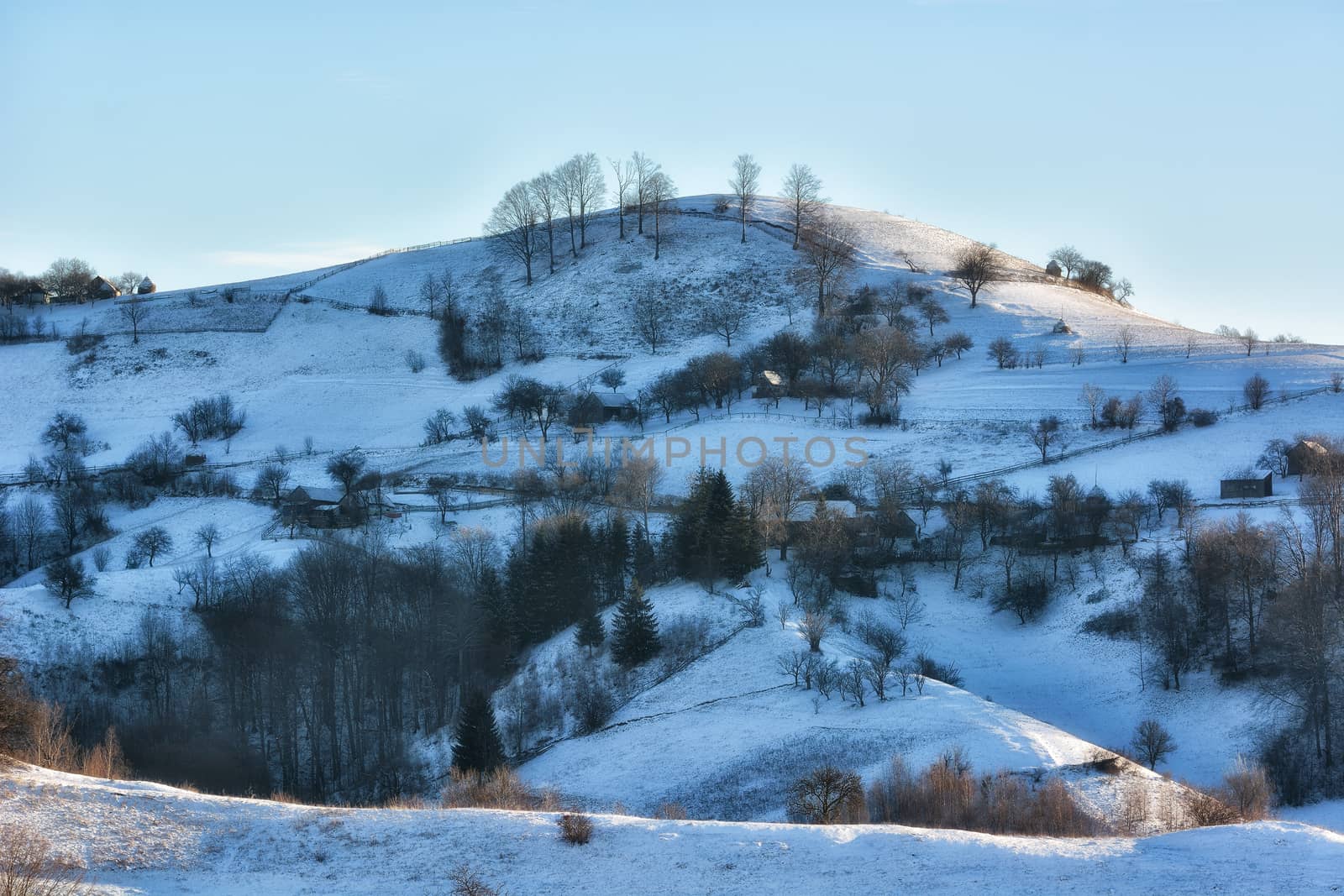 Frozen sunny day of a winter, on wild transylvania hills. Holbav. Romania. Low key, dark background, spot lighting, and rich Old Masters by constantinhurghea