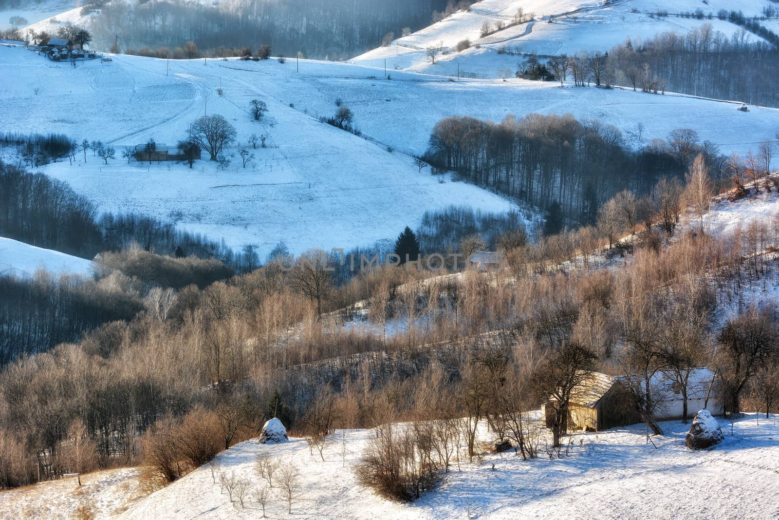 Frozen sunny day of a winter, on wild transylvania hills. Holbav. Romania. Low key, dark background, spot lighting, and rich Old Masters