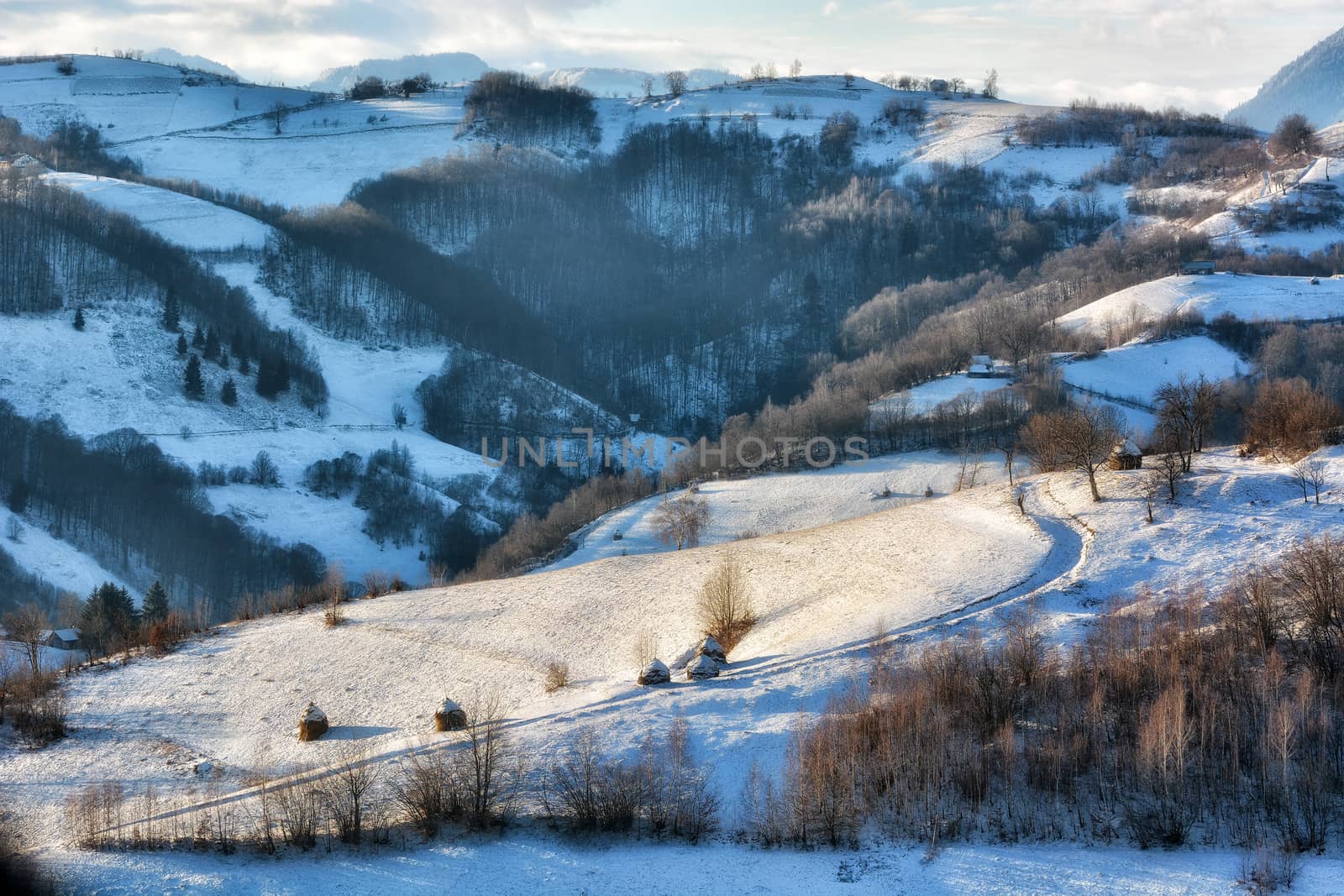 Frozen sunny day of a winter, on wild transylvania hills. Holbav. Romania. Low key, dark background, spot lighting, and rich Old Masters by constantinhurghea