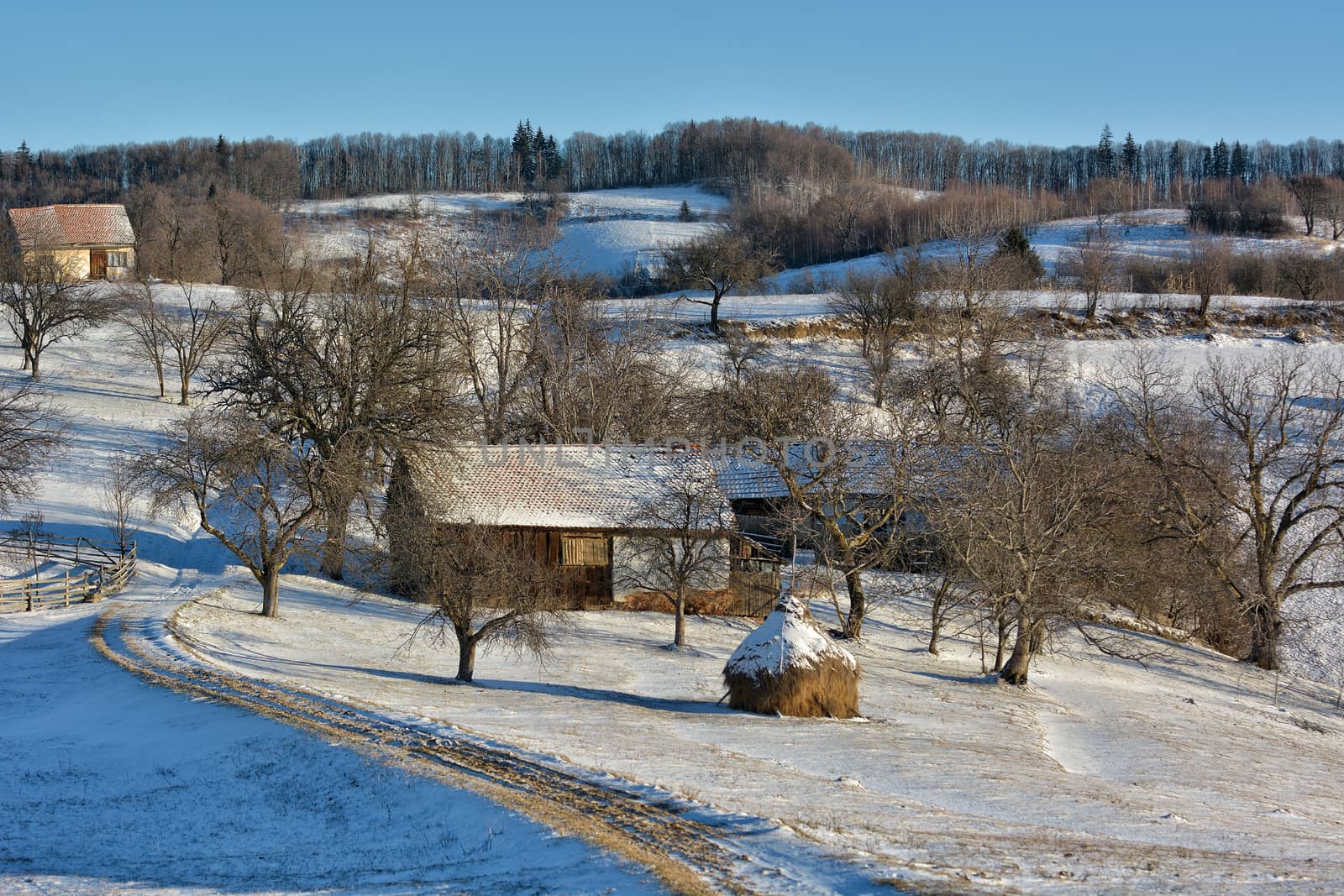 Frozen sunny day of a winter, on wild transylvania hills. Holbav. Romania. Low key, dark background, spot lighting, and rich Old Masters