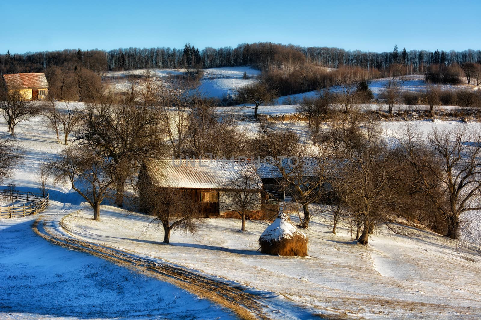 Frozen sunny day of a winter, on wild transylvania hills. Holbav. Romania. Low key, dark background, spot lighting, and rich Old Masters by constantinhurghea