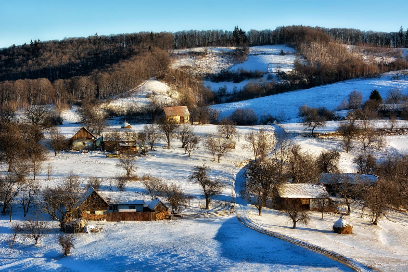 Frozen sunny day of a winter, on wild transylvania hills. Holbav. Romania. Low key, dark background, spot lighting, and rich Old Masters by constantinhurghea