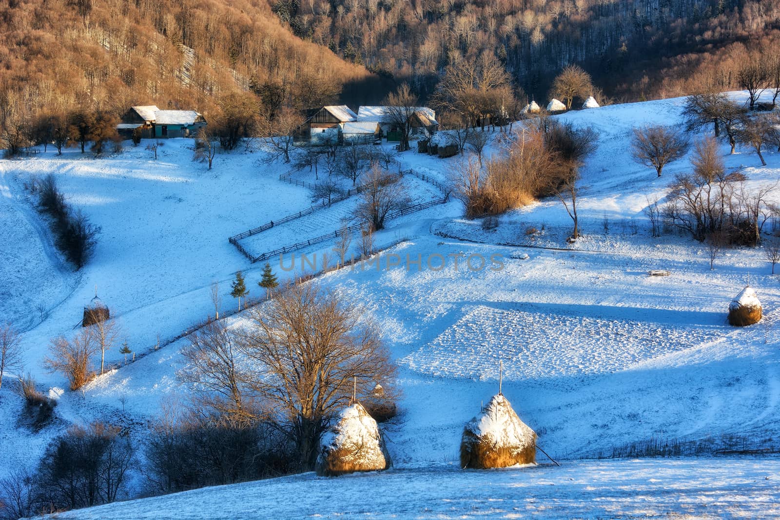 Frozen sunny day of a winter, on wild transylvania hills. Holbav. Romania. Low key, dark background, spot lighting, and rich Old Masters by constantinhurghea