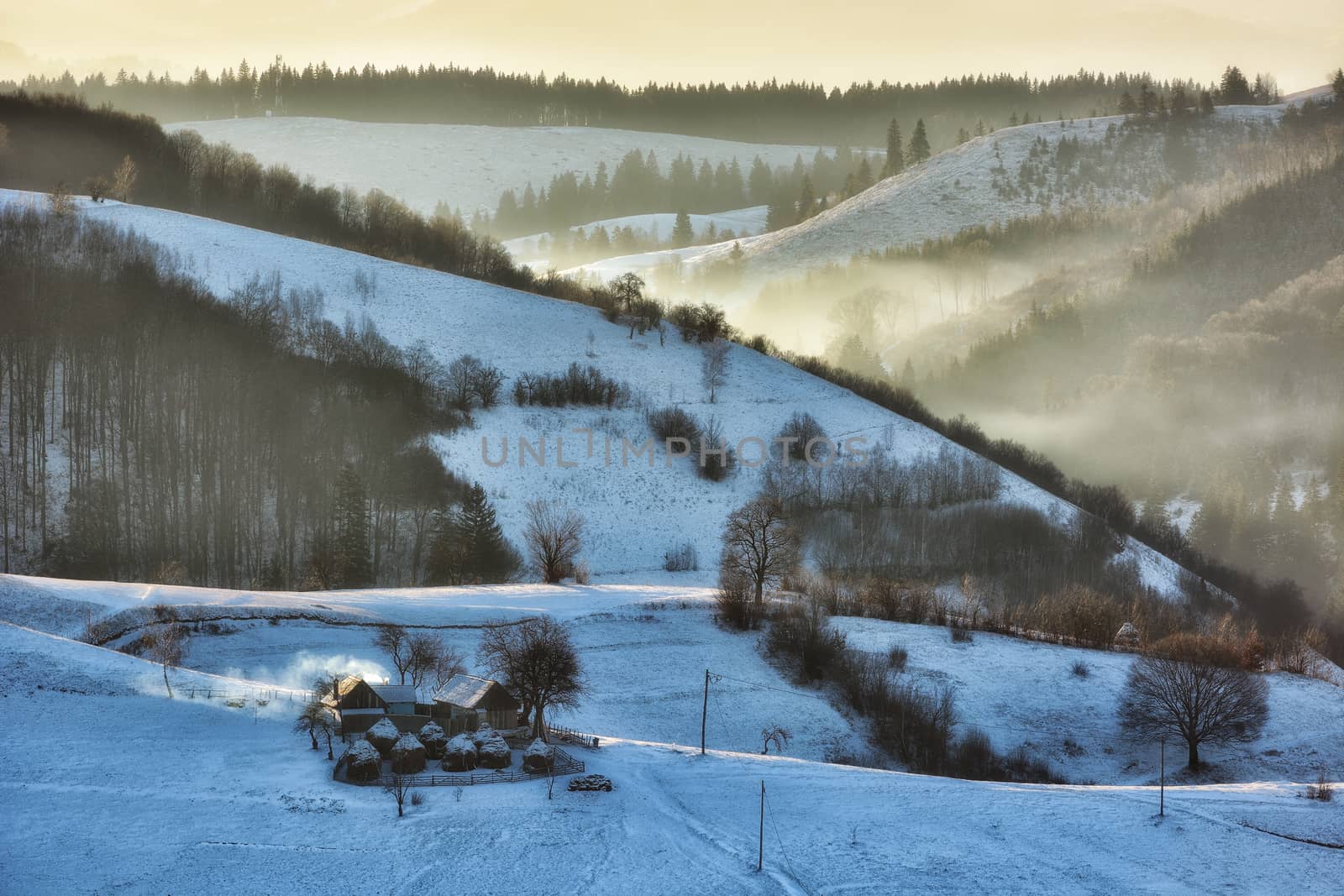 Frozen sunny day of a winter, on wild transylvania hills. Holbav. Romania. Low key, dark background, spot lighting, and rich Old Masters