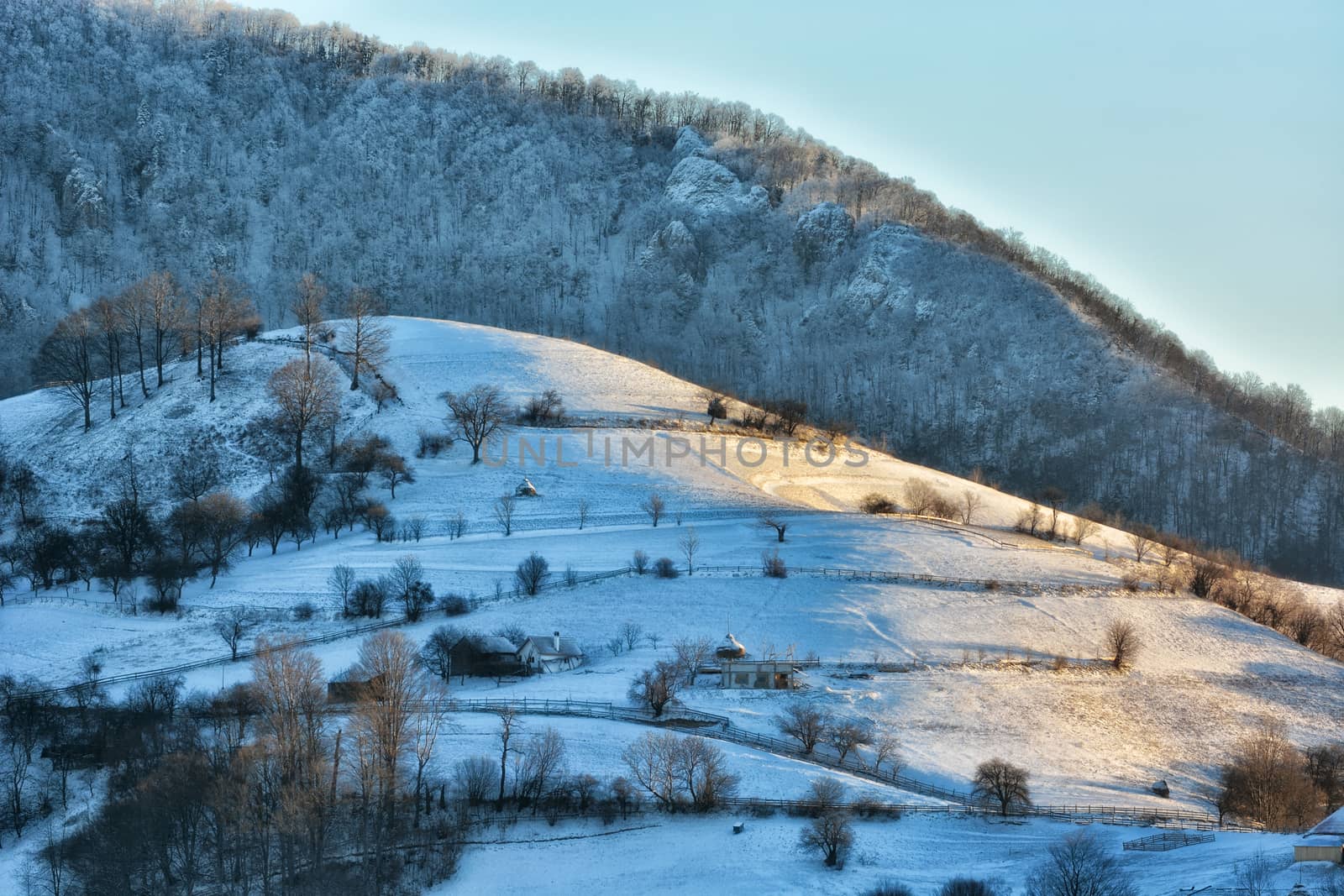 Frozen sunny day of a winter, on wild transylvania hills. Holbav. Romania. Low key, dark background, spot lighting, and rich Old Masters by constantinhurghea