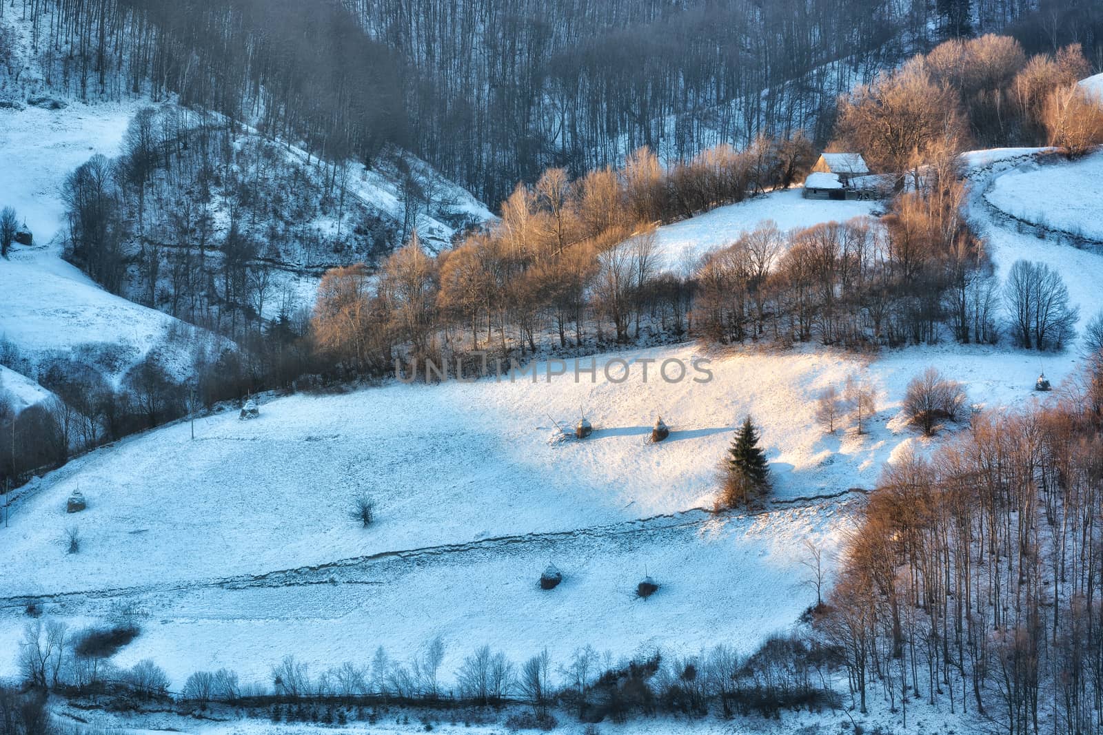 Frozen sunny day of a winter, on wild transylvania hills. Holbav. Romania. Low key, dark background, spot lighting, and rich Old Masters