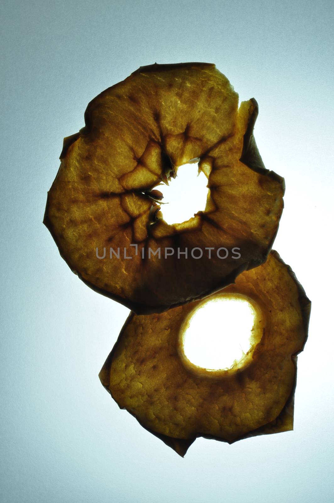 Dried sliced apple in silhouette on lighting desk - the difference detail of dried apple