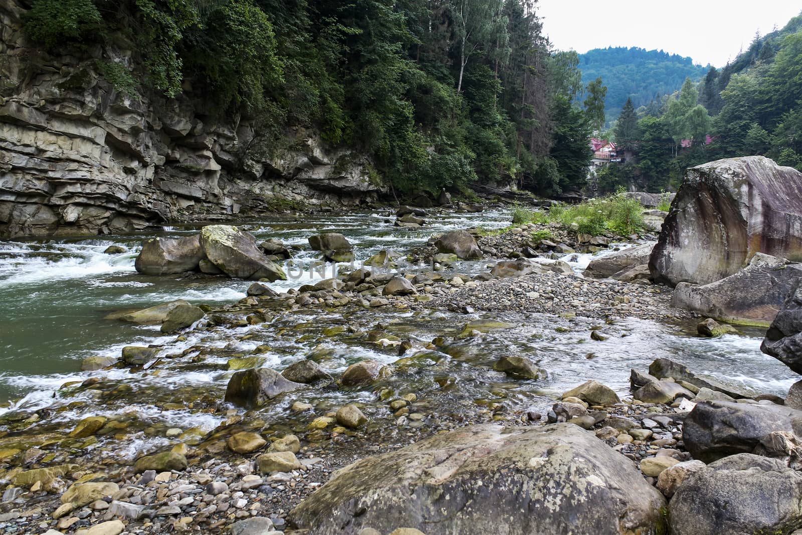 Carpathian Mountain stream in a green forest