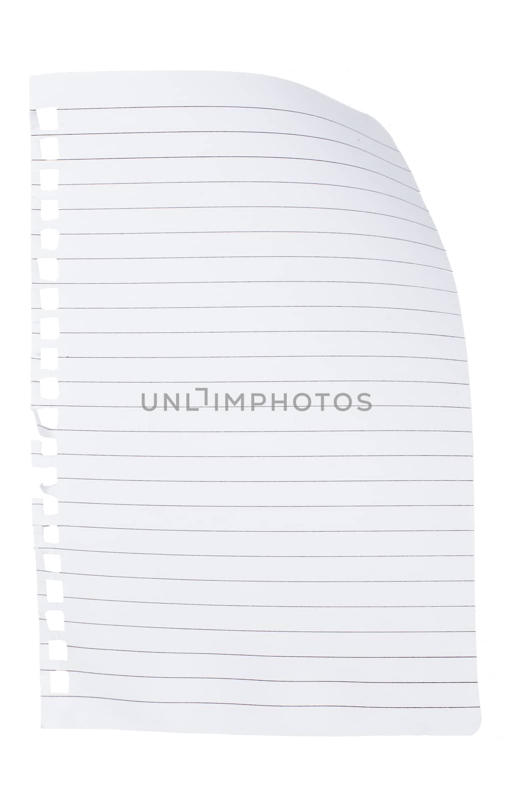 Note paper with curl by cherezoff