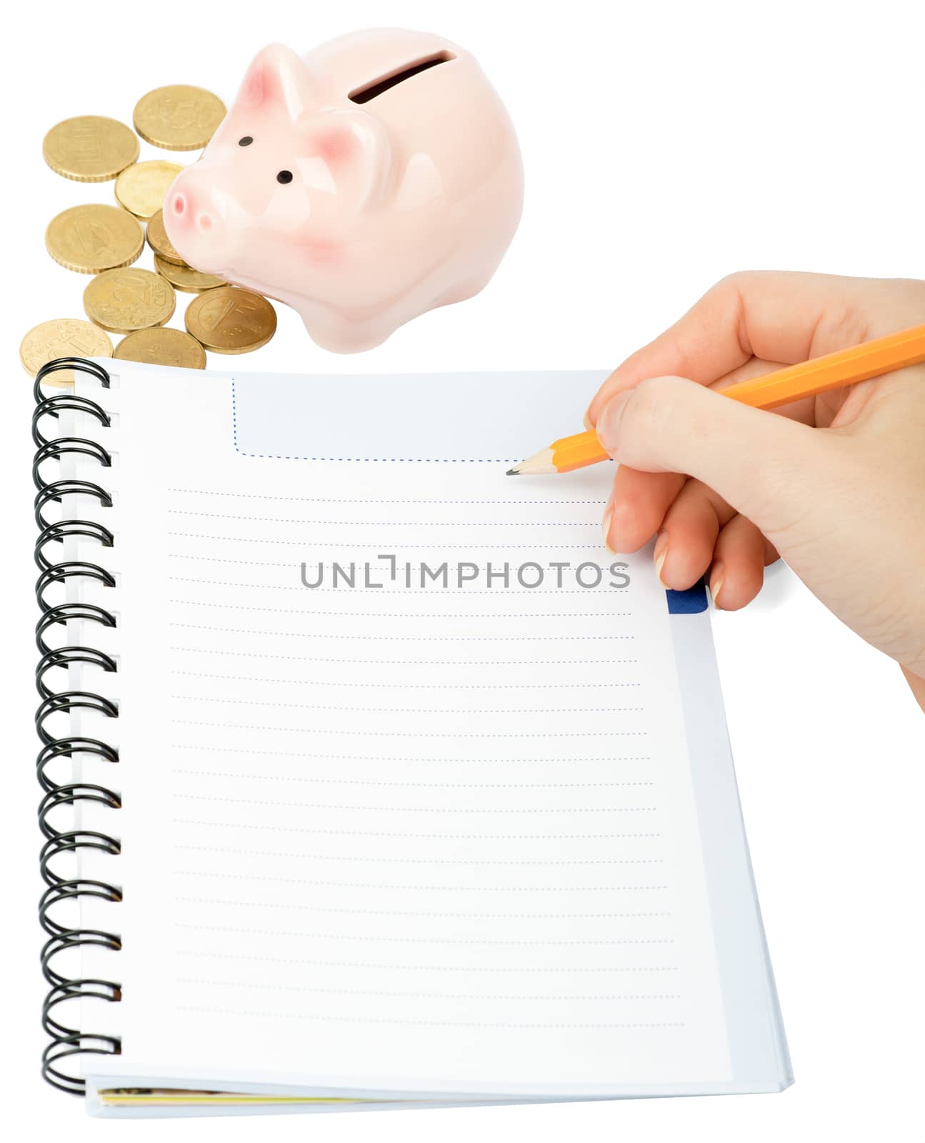 Females hand writing in notebook and piggy bank on isolated white background