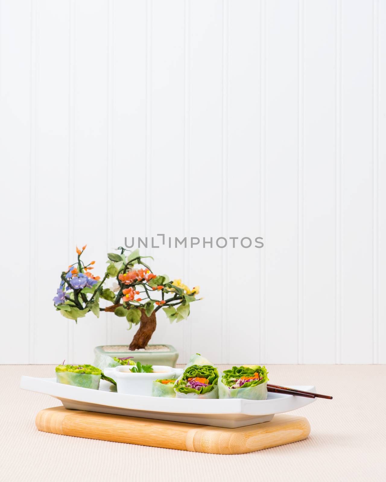 Spring Rolls Vegetarian by billberryphotography