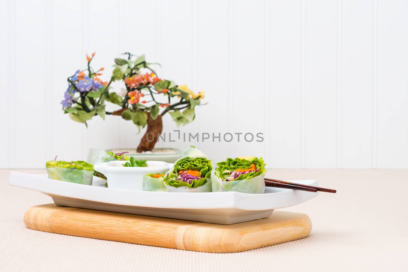 Vegetarian Spring Rolls by billberryphotography