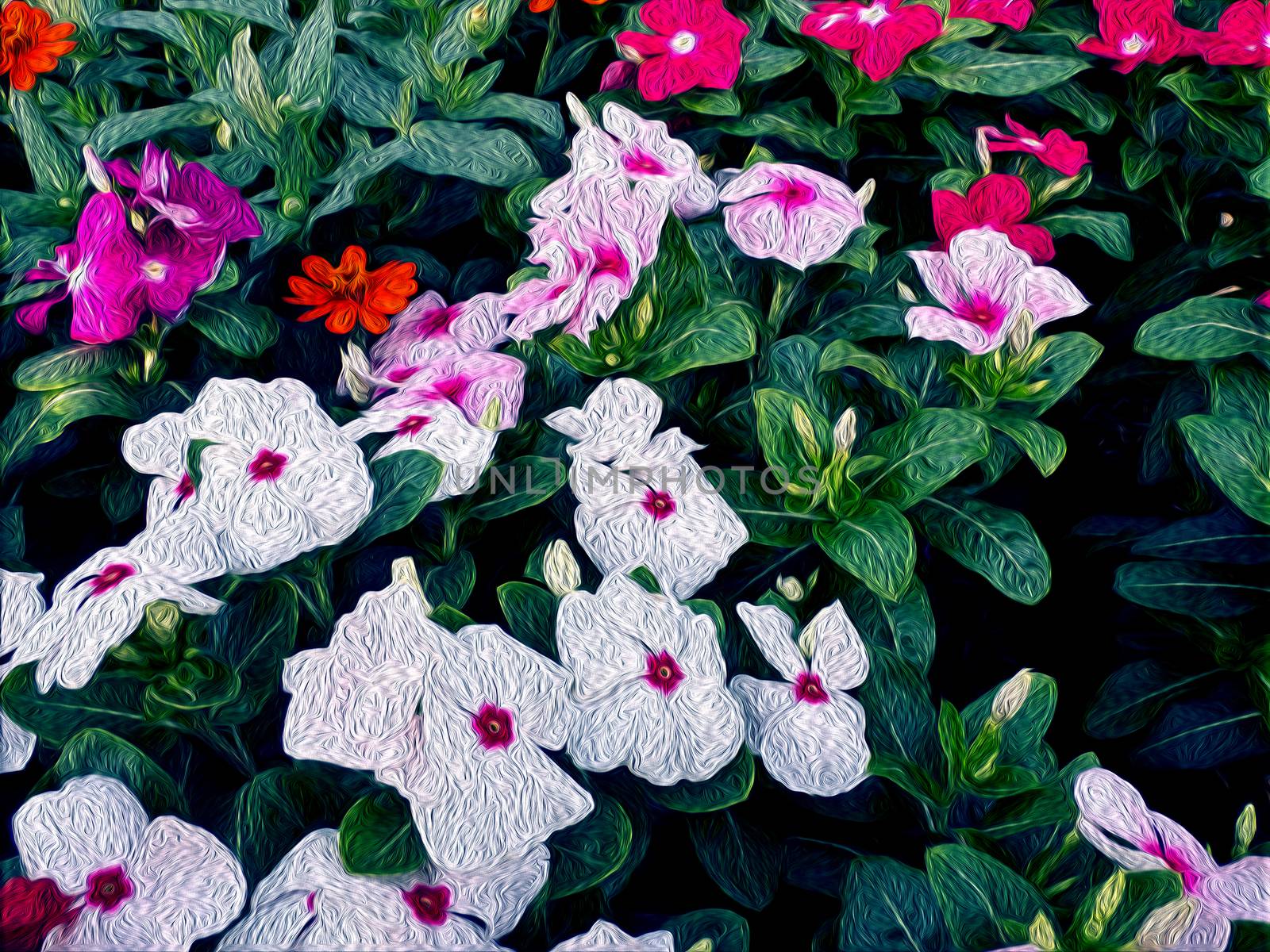 oil painted flowers