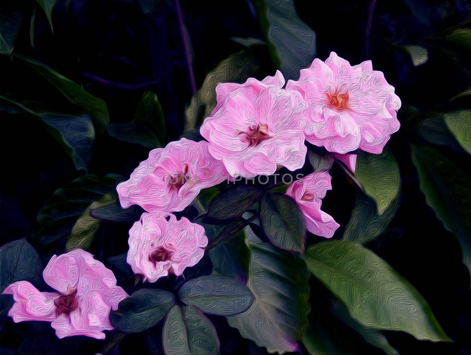 oil painted flowers