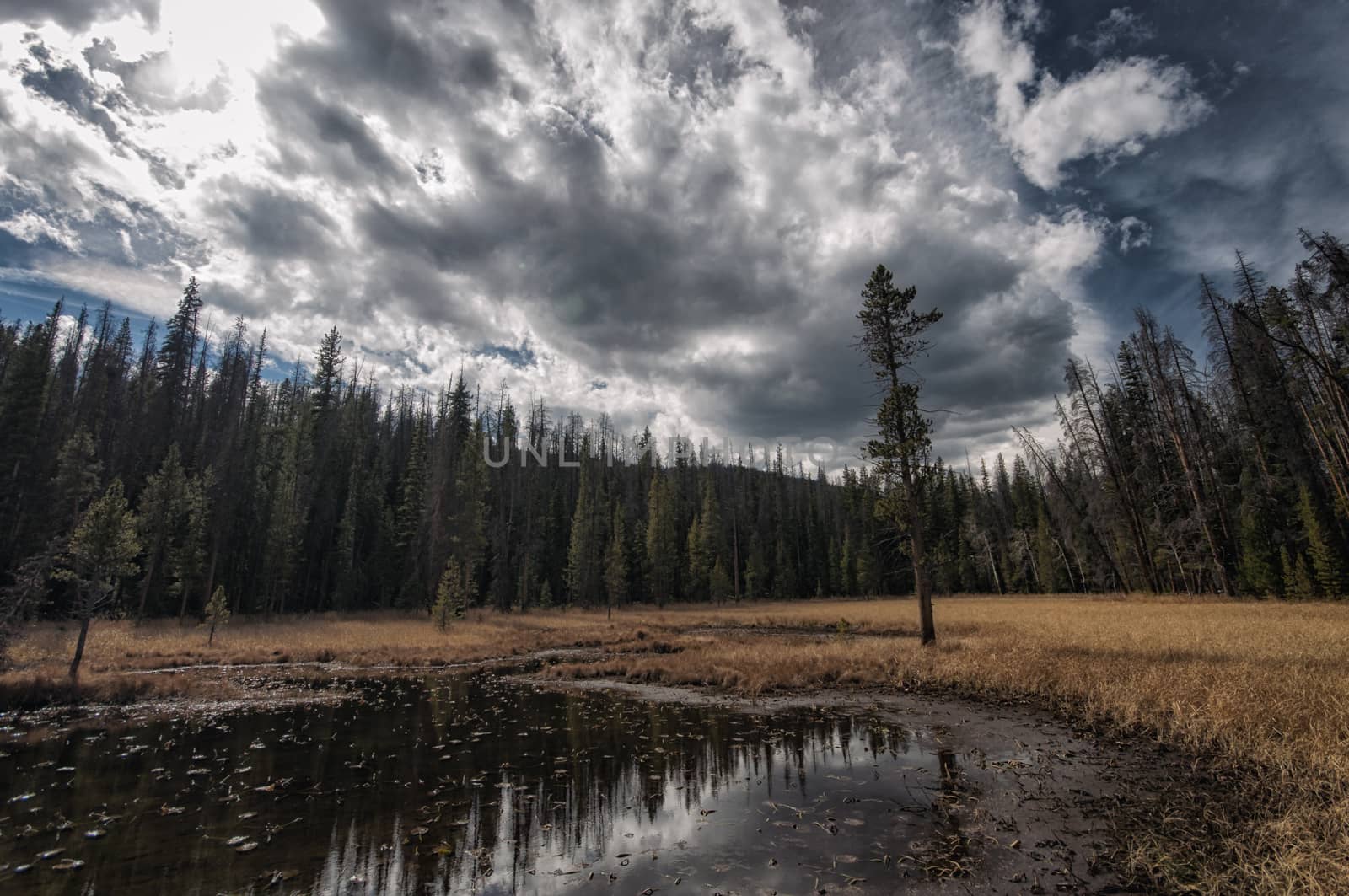 Landscape in Rocky Mountains National Park  by patricklienin