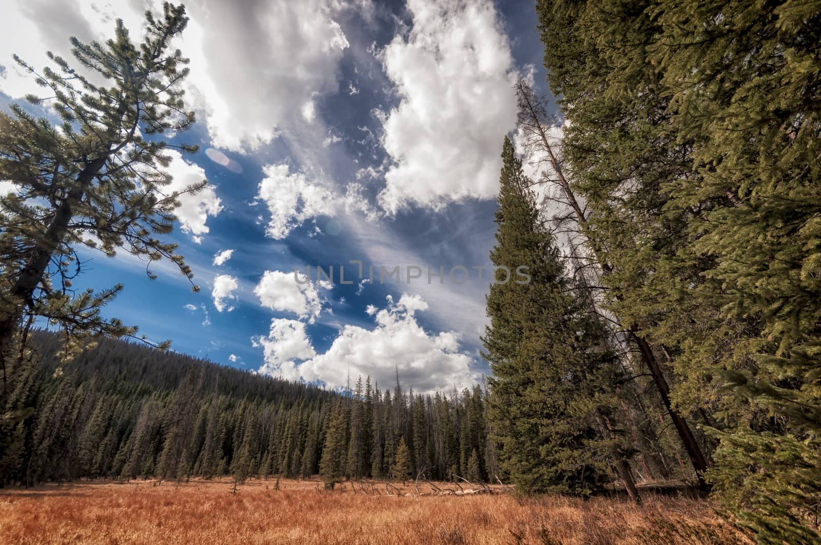 Landscape in Rocky Mountains National Park  by patricklienin