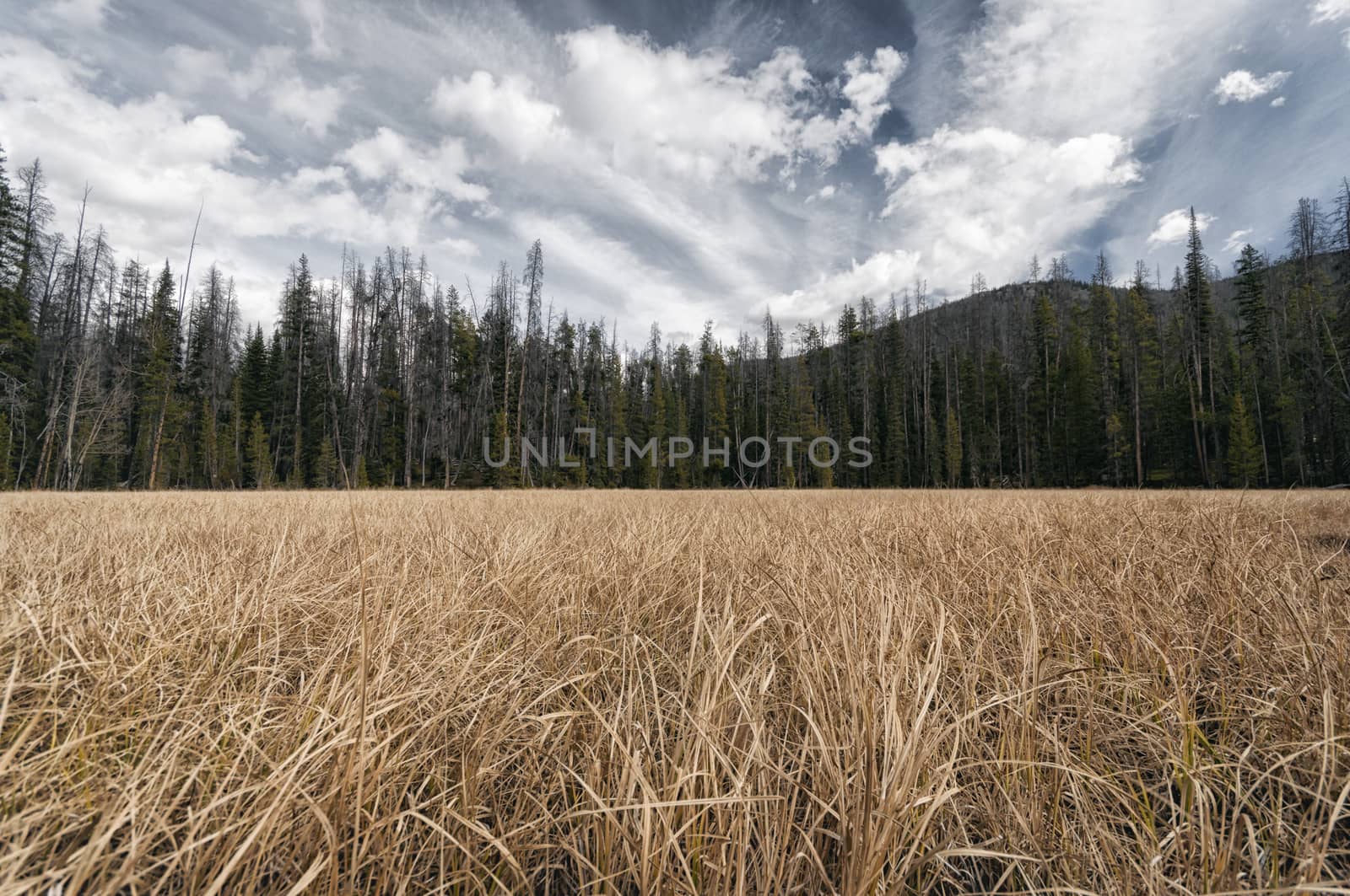 Rocky Mountains National Park Landscape, Colorado, USA