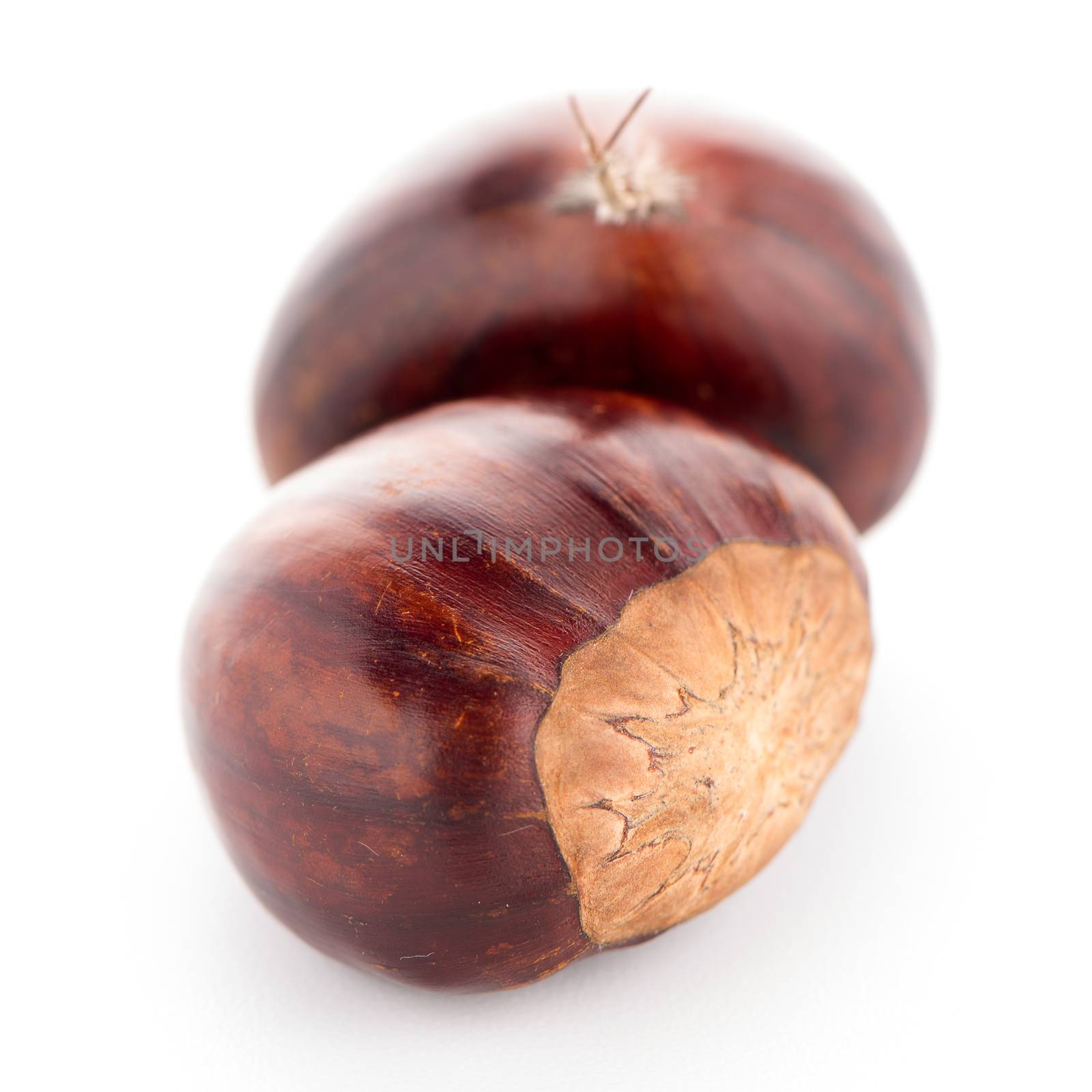 Chestnuts with shell isolated on white background.