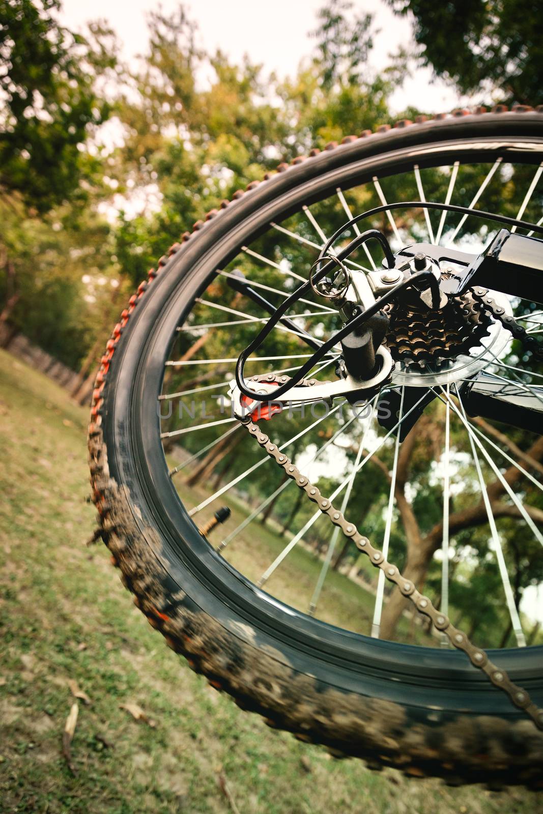 Close up of a moving mountain bicycle rear wheel with details, chain and gearshift mechanism.