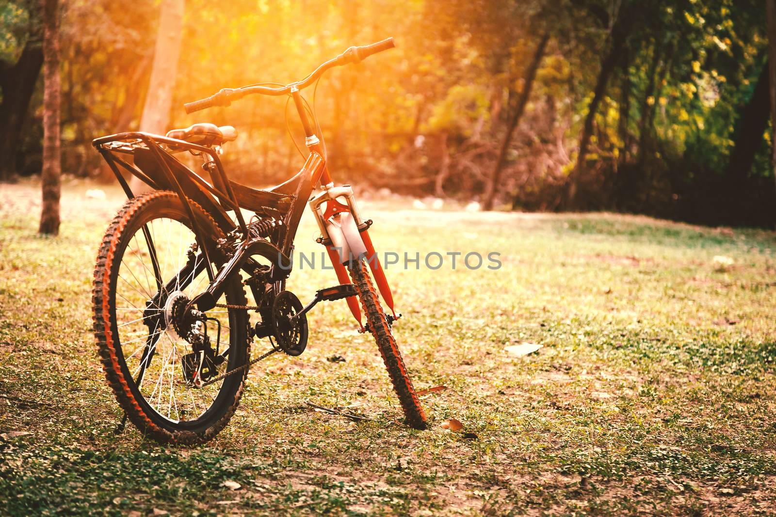 A red and black mountain bicycle standing in a field with morning sun.
