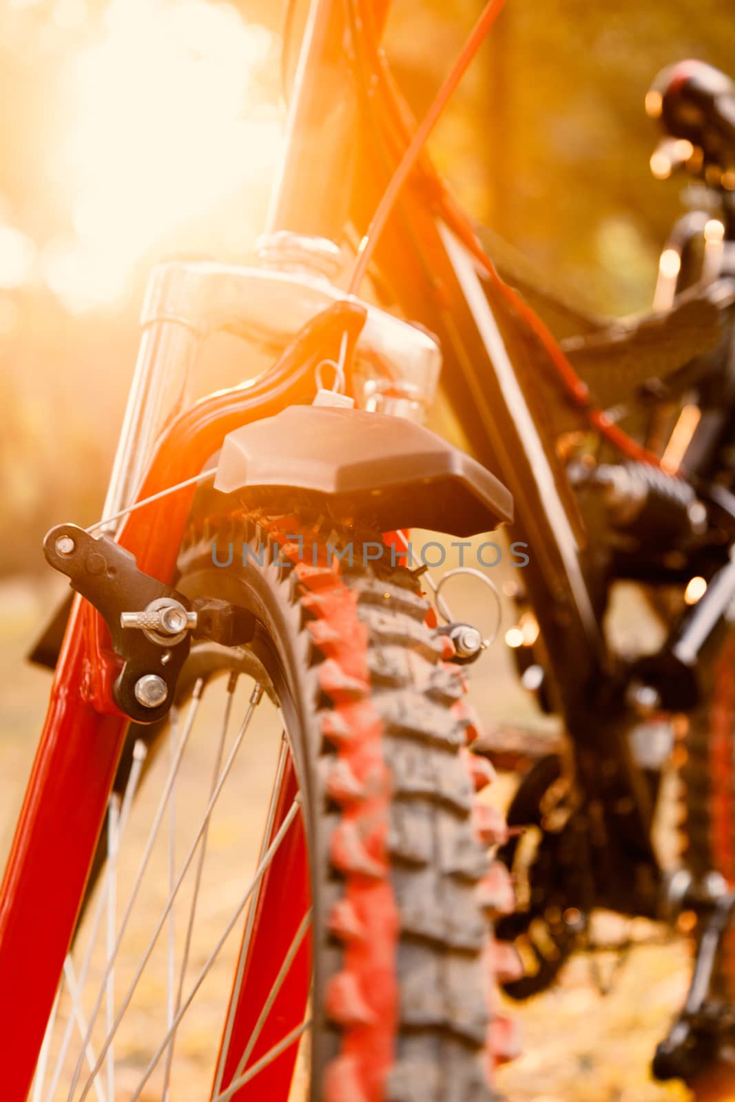Close up of front part of red and black mountain bicycle with morning sun.