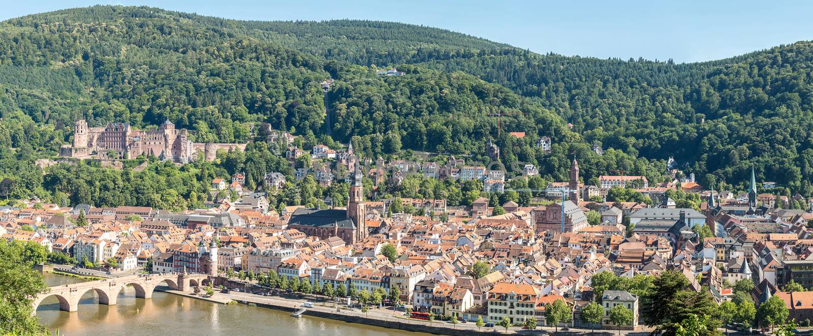 Panoramic View on Heidelberg at summer, Germany