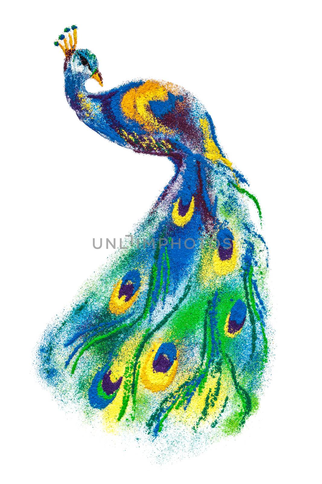 Colorful Peacock bird rangoli made of handmade soil colors isolated on white background.