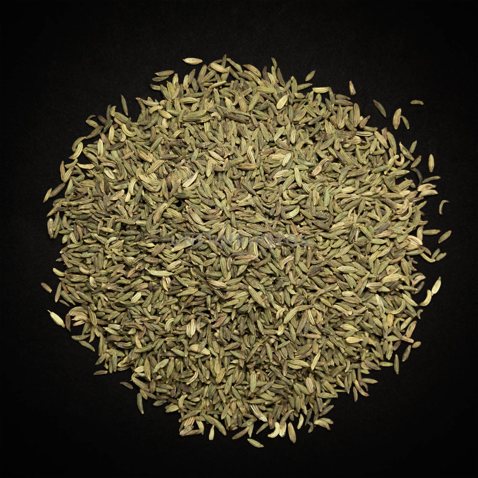 Top view of Organic Aniseed (Pimpinella anisum) isolated on dark background.