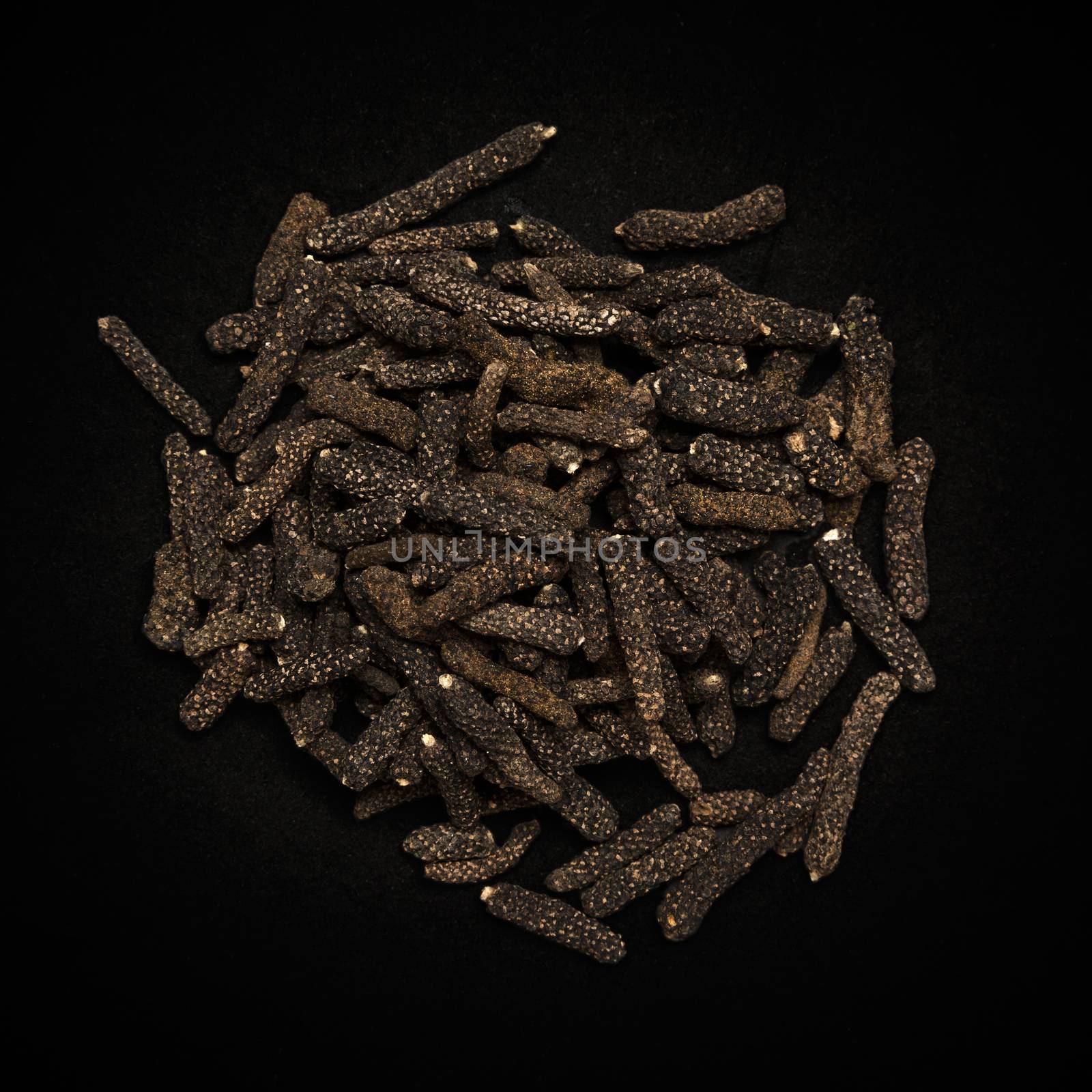 Top view of Organic Long pepper Dried Fruit (Piper longum) isolated on dark background.