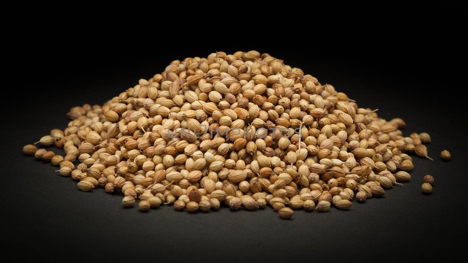 Pile of Organic Dried coriander seeds (Coriandrum sativum) by ziprashantzi