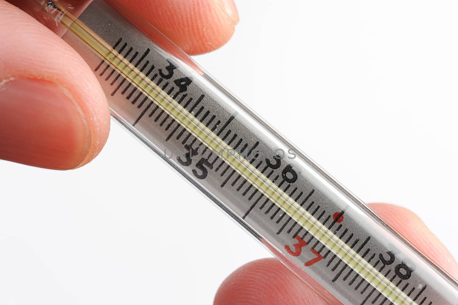 macro thermometer in fingers on white background