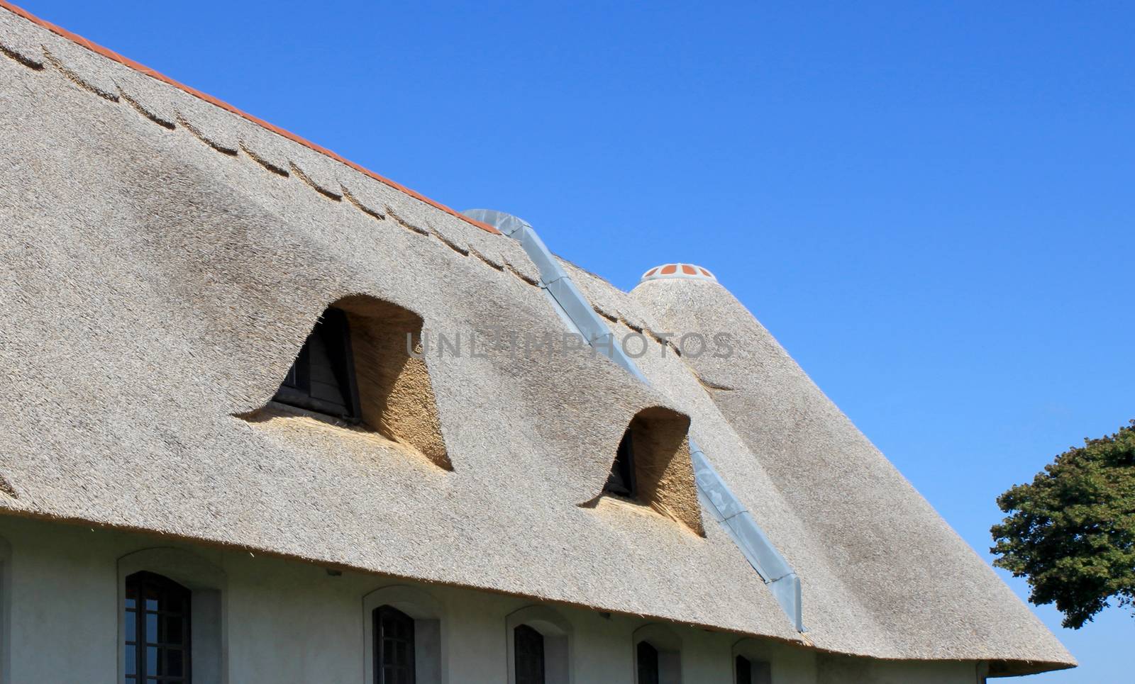 Cover thatch roof of a cottage on a blue sky background