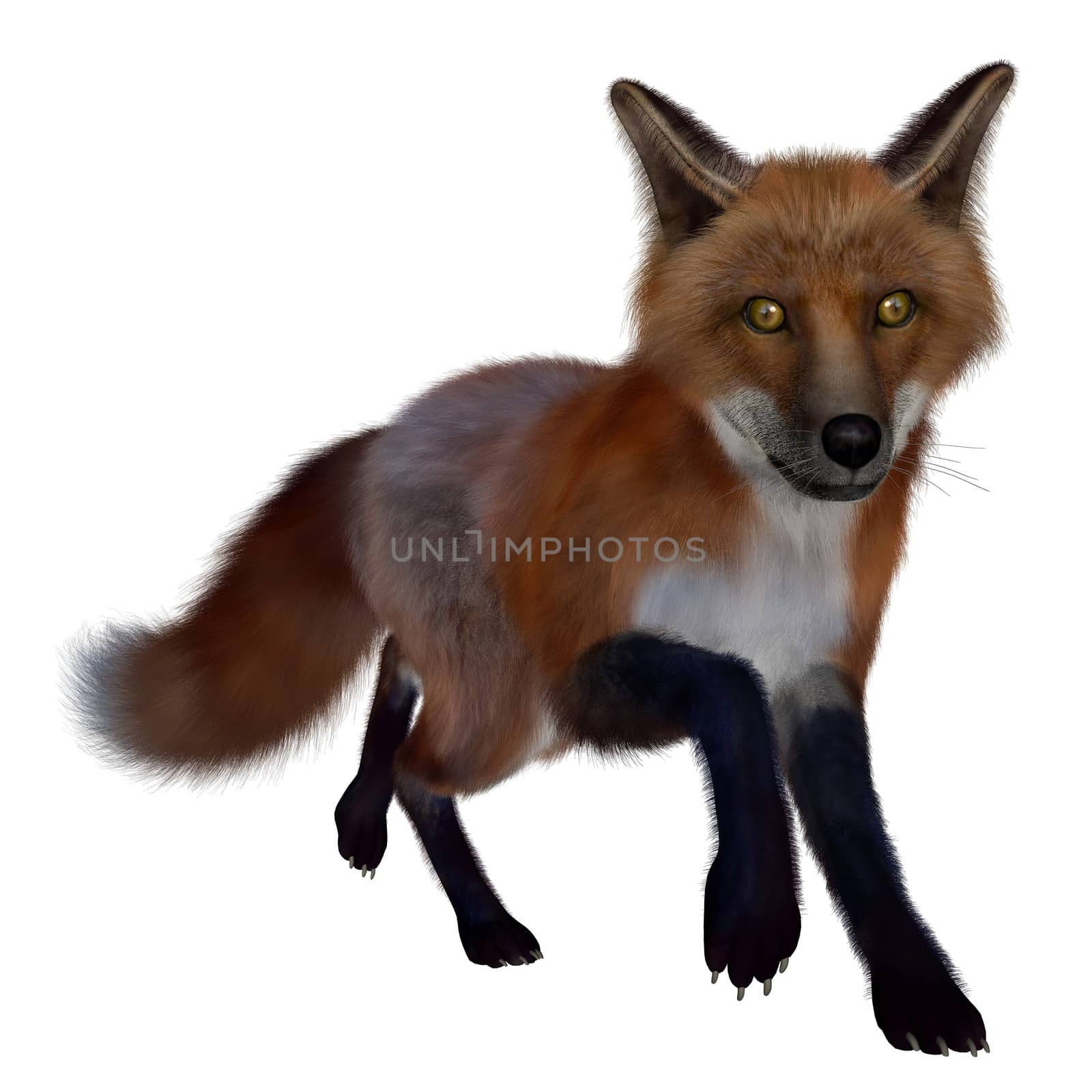 Red fox running- 3D render by Elenaphotos21
