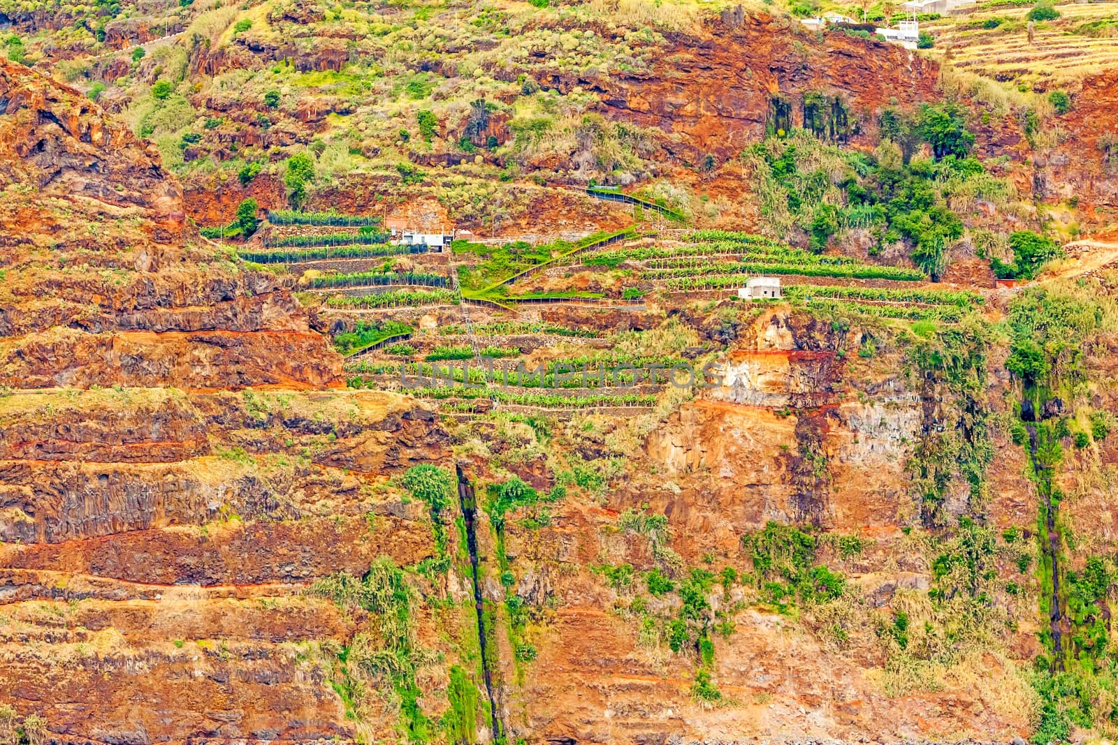 Colorful rocky cliff coast of Madeira with banana plantations near Jardim do Mar