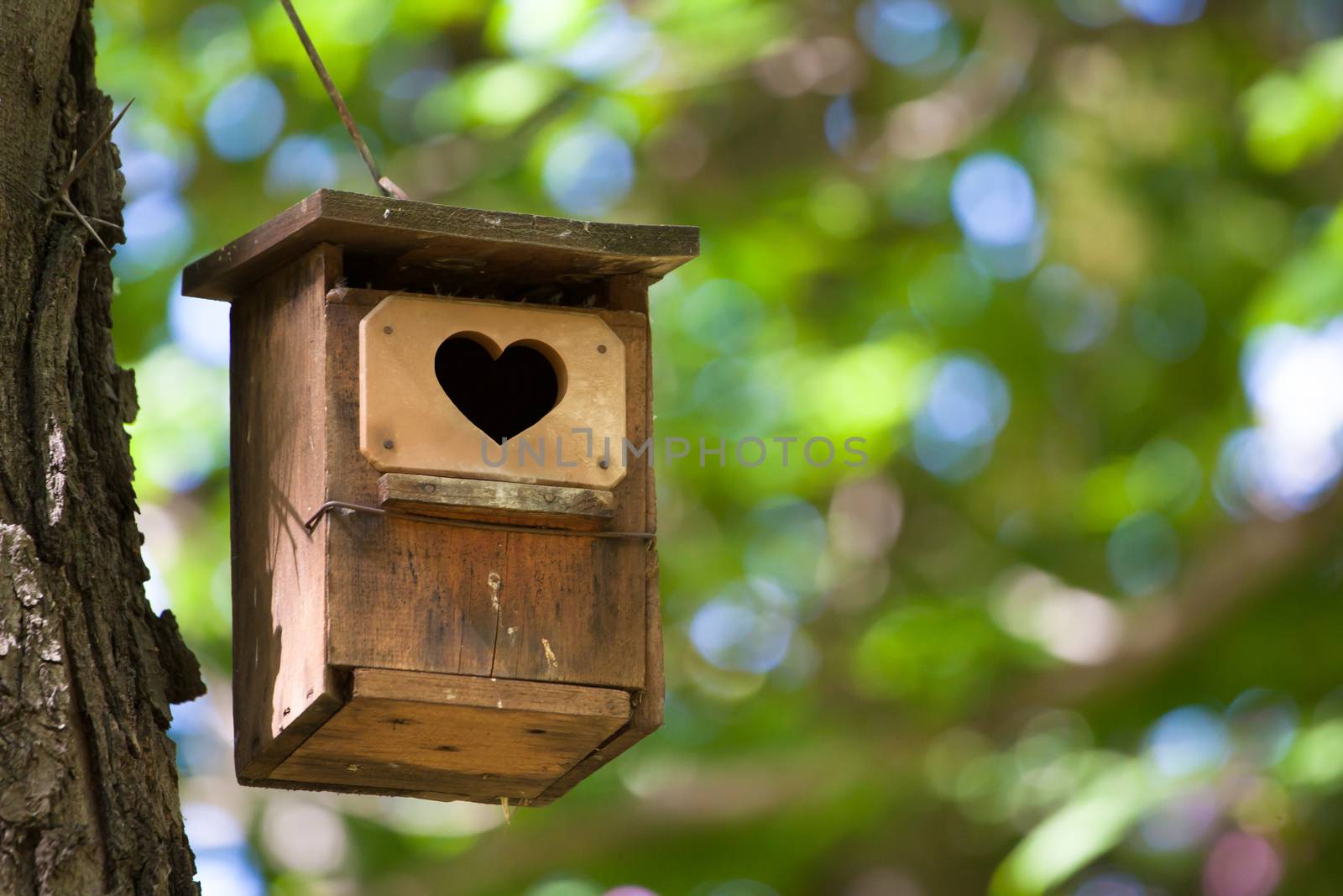 Bird house hanging from the tree with the entrance hole in the shape of a heart.
