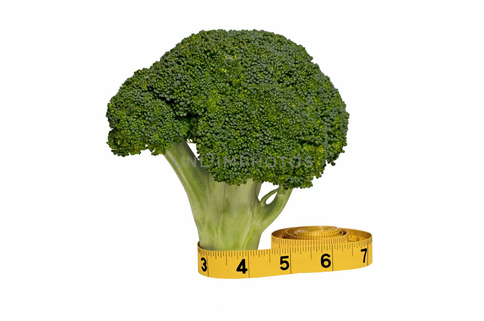 Broccoli With Tape Measure by stockbuster1