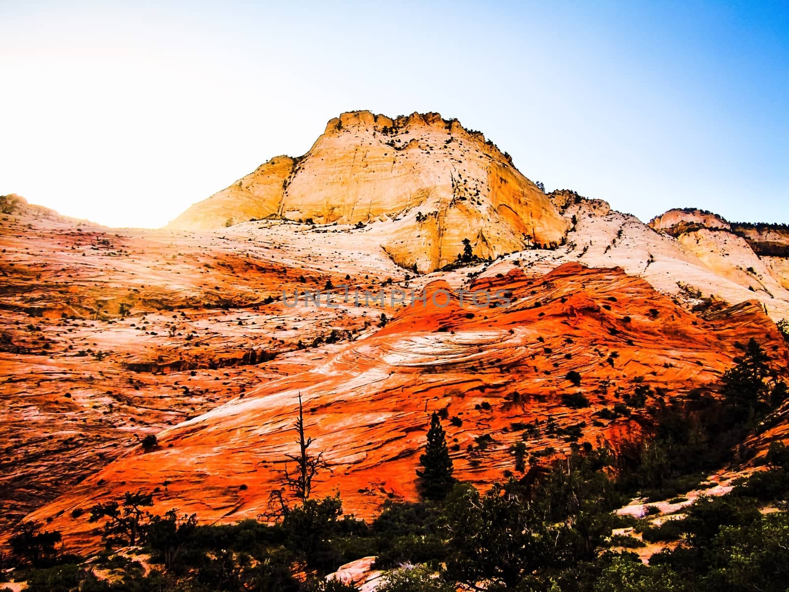 mountain at Zion national park, USA in summer