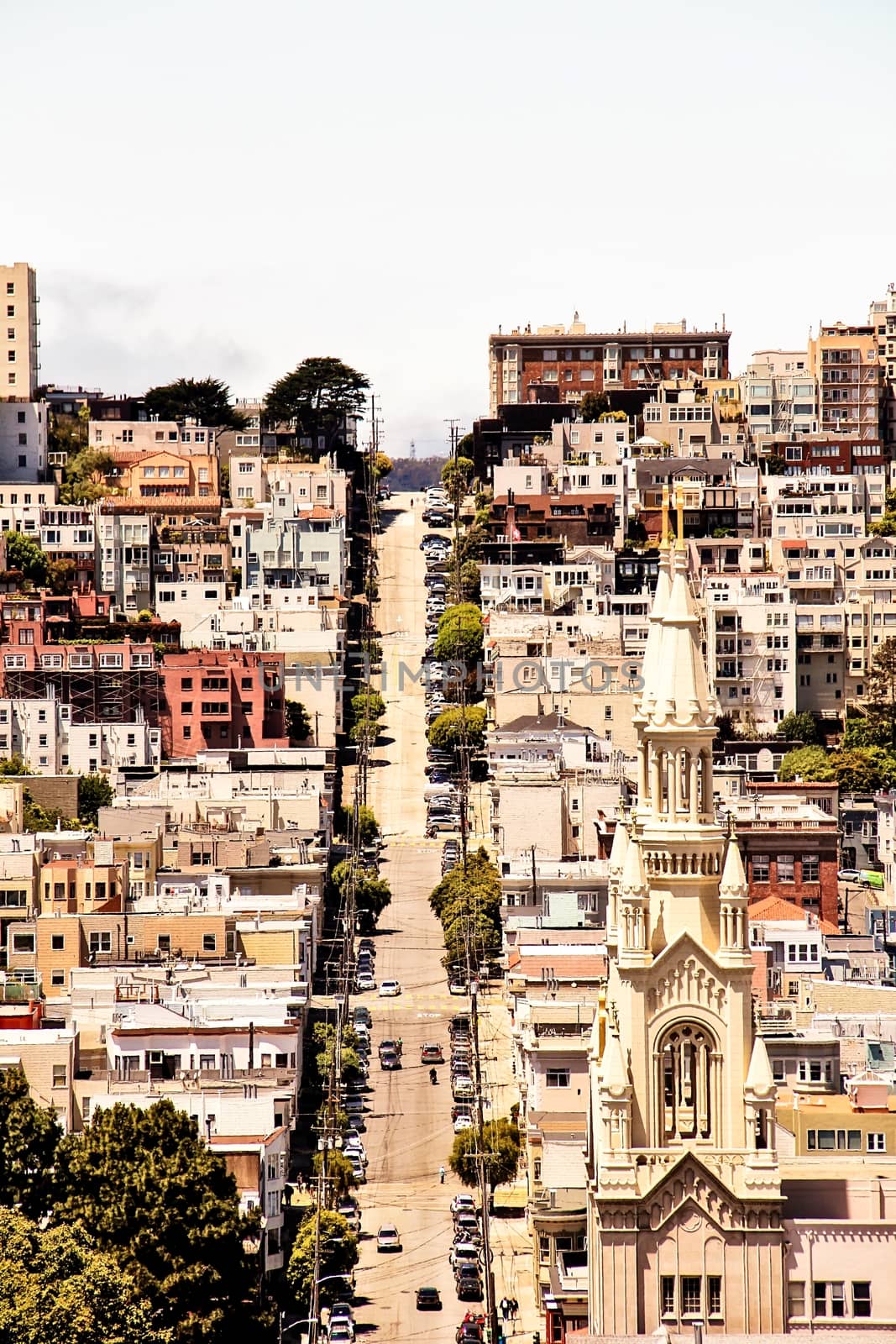 road and buildings at San Francisco, California, USA by Timmi