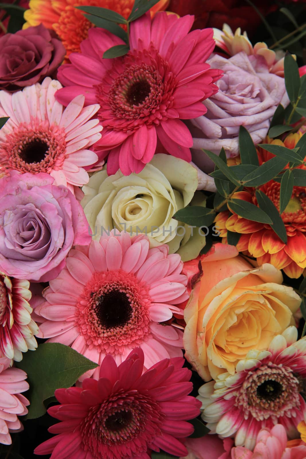 Gerberas and roses in bright colors in a bridal bouquet