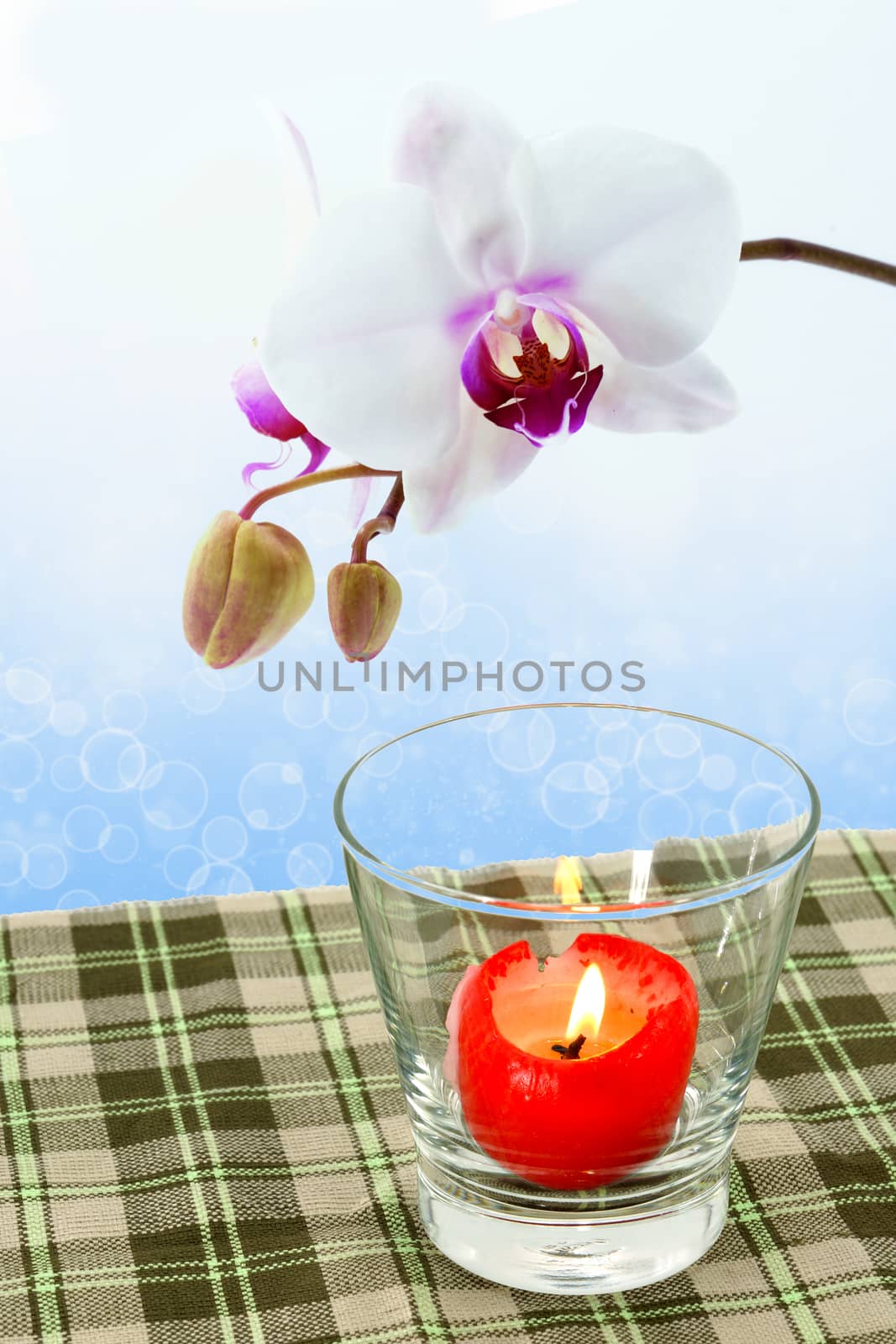 White Orchid And red candles on the dining table. by Noppharat_th