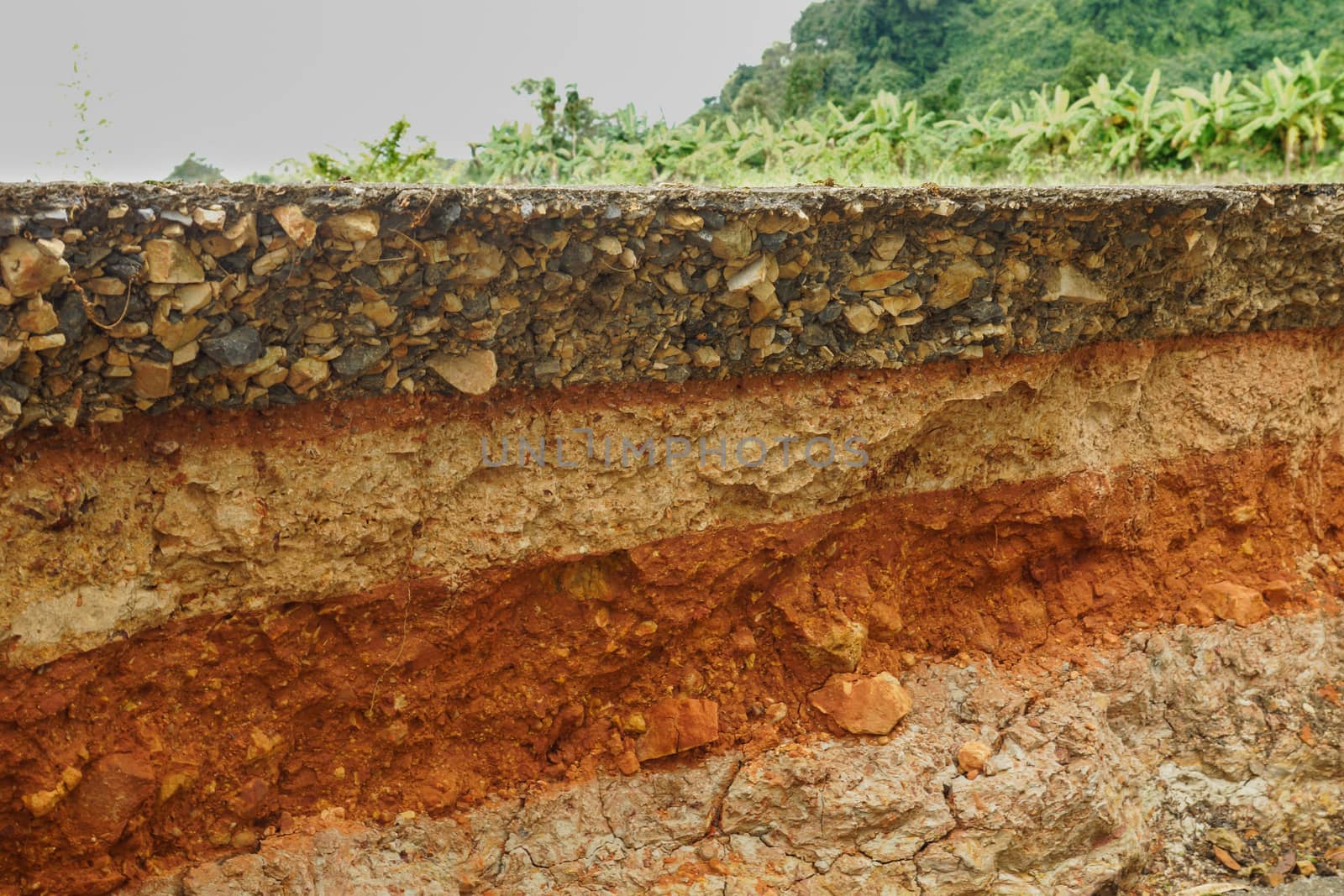 The curb erosion from storms.
To indicate the layers of soil and rock.