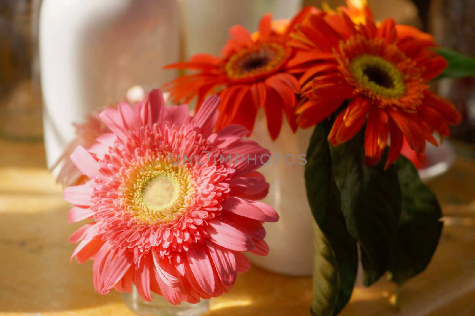 Gerbera flowers on the desk. by Noppharat_th