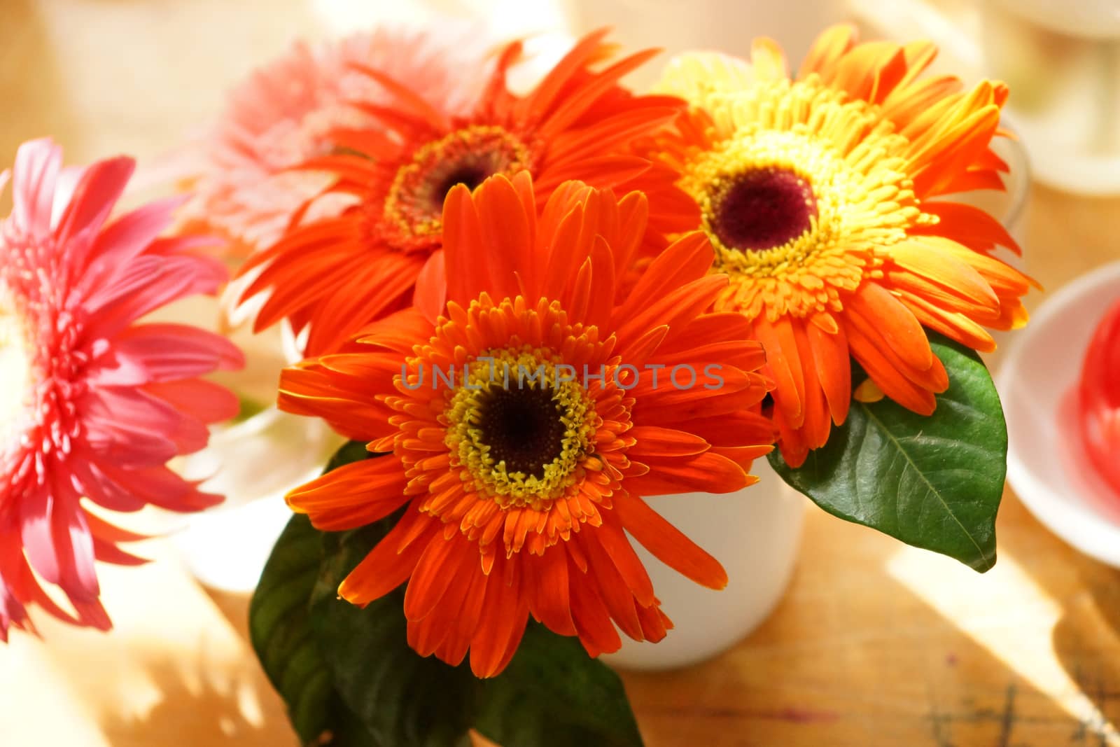 Gerbera flowers on the desk. by Noppharat_th