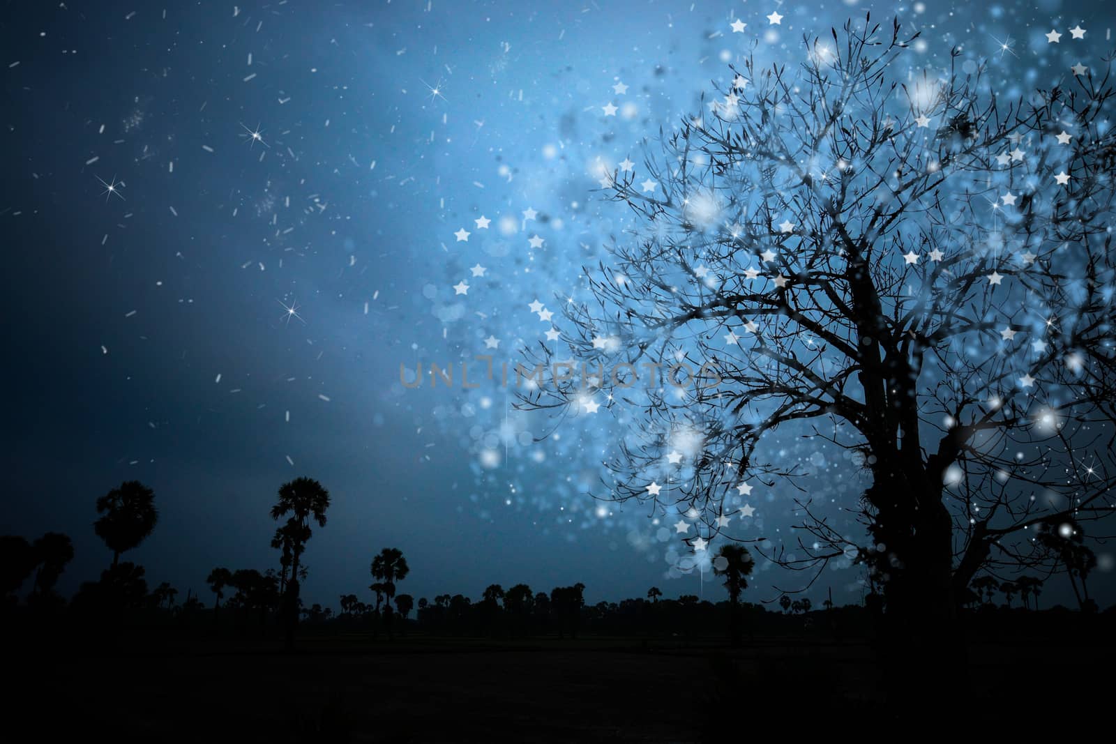 Silhouettes of dead trees in the night.