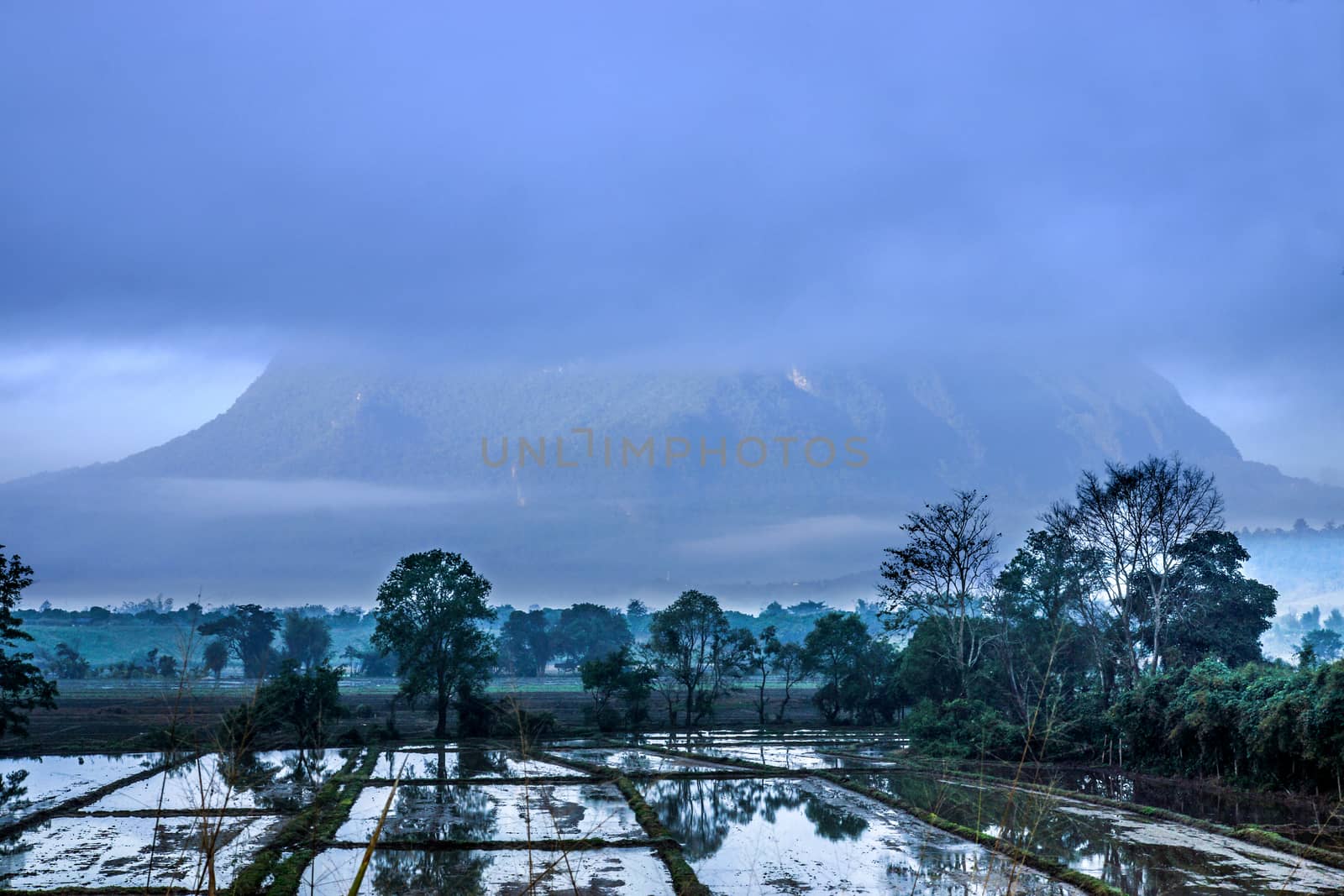 Mountains under the clouds "Doi Luang Chiang Dao" Thailand