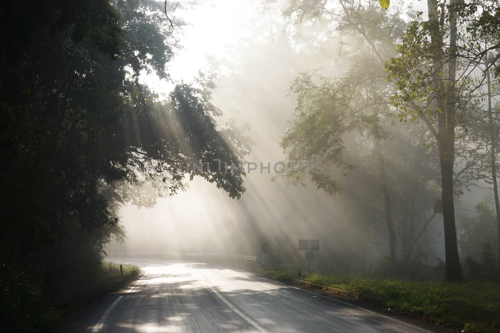 Fog in morning sunshine on the road alone. by Noppharat_th