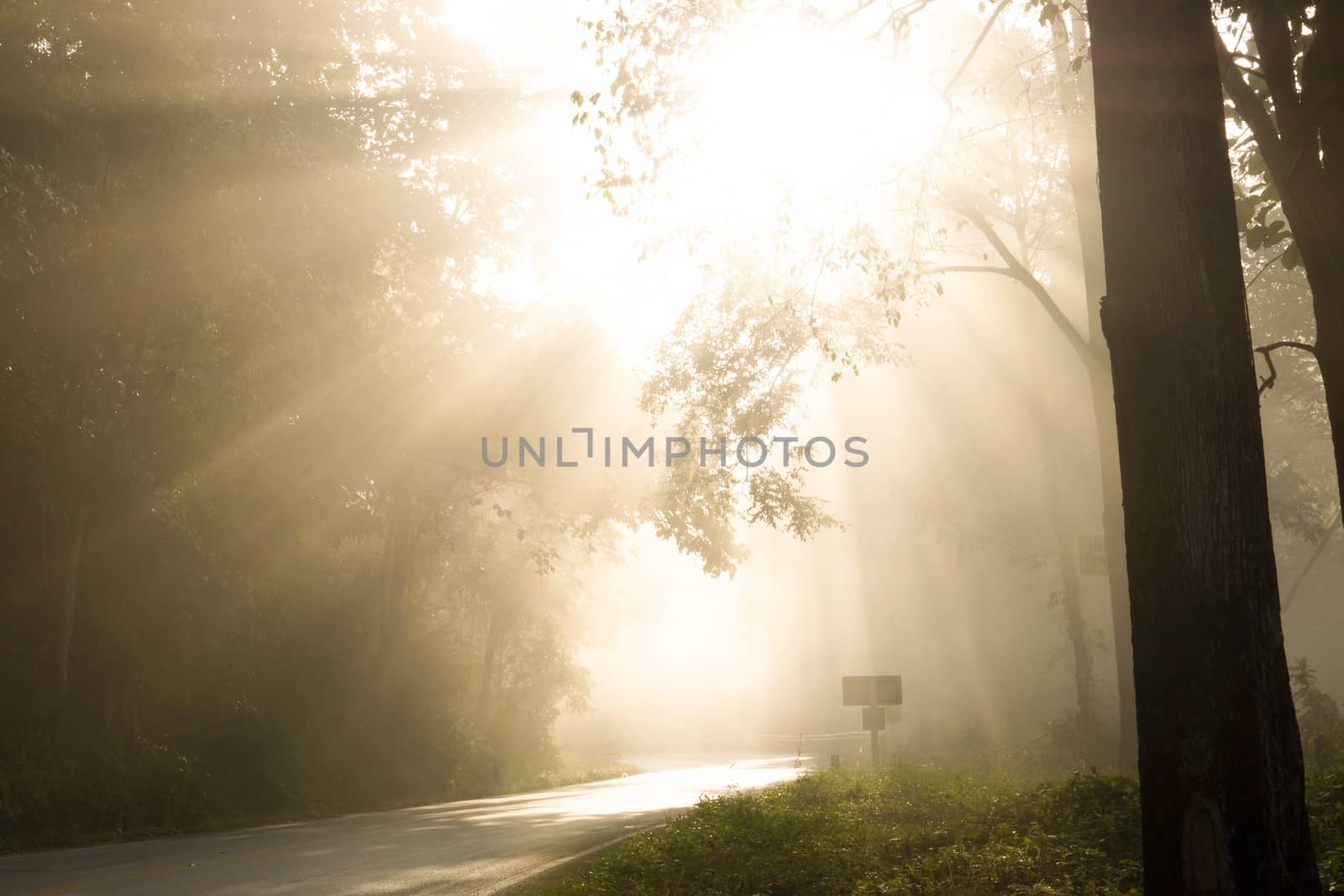 Fog in morning sunshine on the road alone. by Noppharat_th